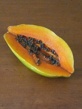 Colorful Papaya Fruit Kitschy Shelf Decor
